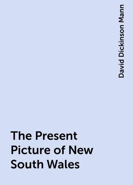 The Present Picture of New South Wales, David Dickinson Mann