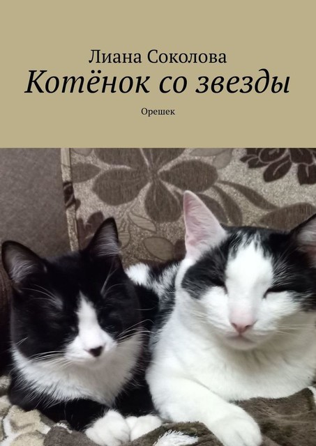 Котенок со звезды. Орешек, Лиана Соколова