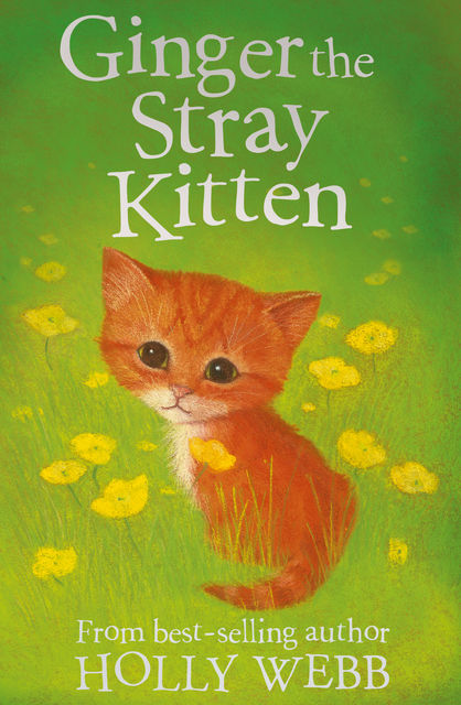 Ginger the Stray Kitten, Holly Webb