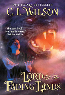 Lord of the Fading Lands, C.L. Wilson