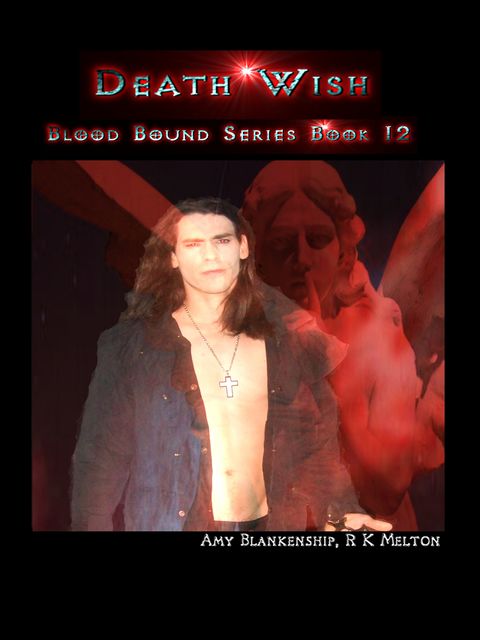 Death Wish (Blood Bound Book 12), Amy Blankenship