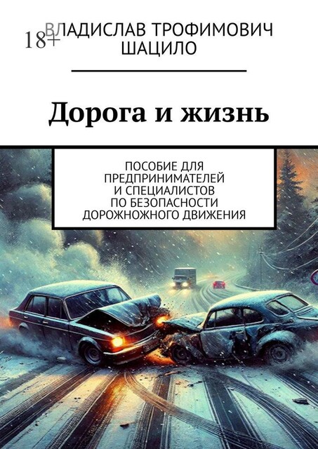 Дорога и жизнь. Пособие для предпринимателей и специалистов по безопасности дорожножного движения, Владислав Шацило