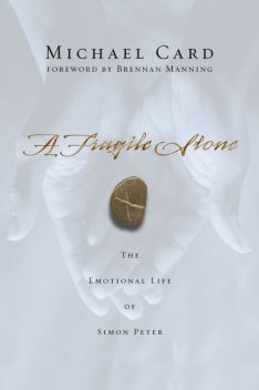 A Fragile Stone, Michael Card