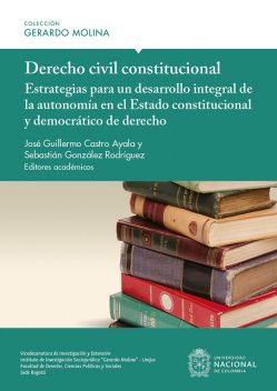 Derecho civil constitucional, José Guillermo Castro Ayala, Sebastián González Rodríguez