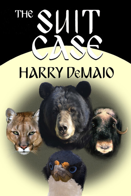 The Suit Case, Harry DeMaio