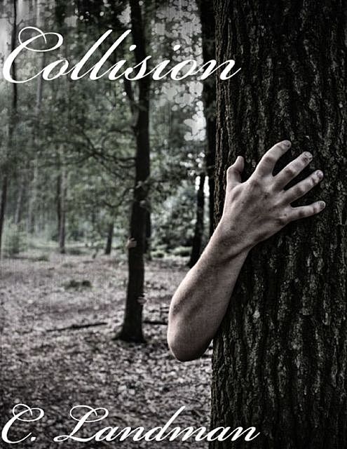 Collision, C Landman