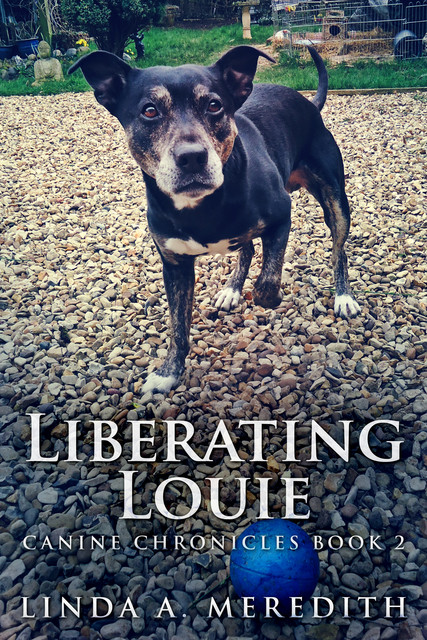 Liberating Louie, Linda A. Meredith