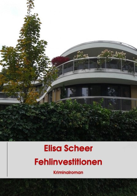 Fehlinvestitionen, Elisa Scheer