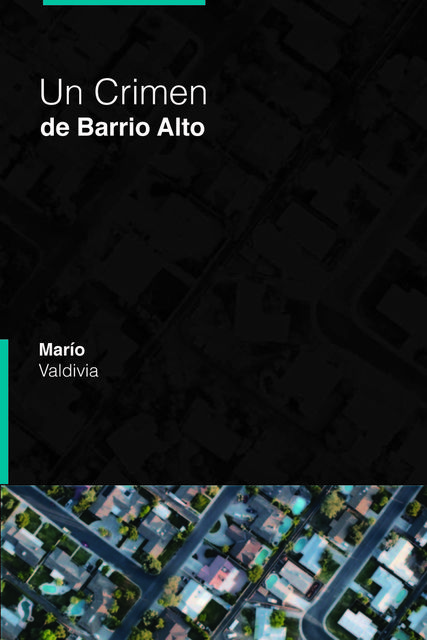 Un crimen de barrio alto, Mario Valdivia
