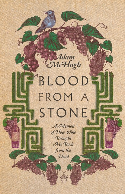 Blood From a Stone, Adam S. McHugh