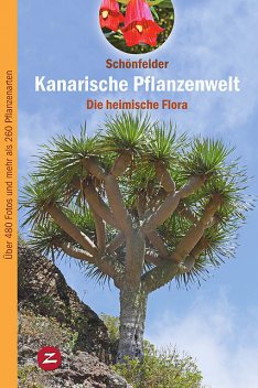 Kanarische Pflanzenwelt, Ingrid Schönfelder, Peter Schönfelder