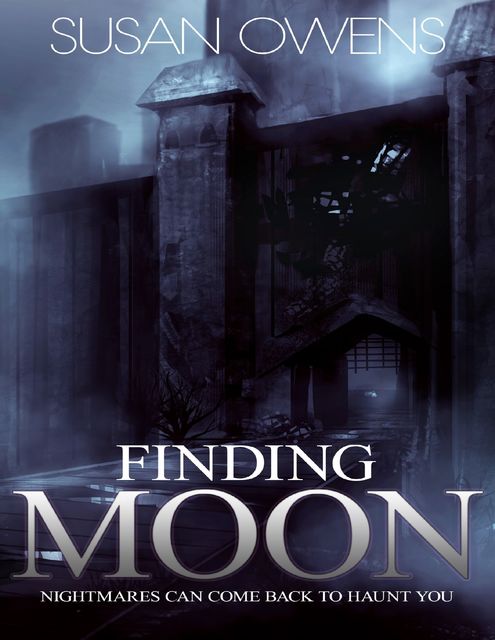 Finding Moon, Susan Owens