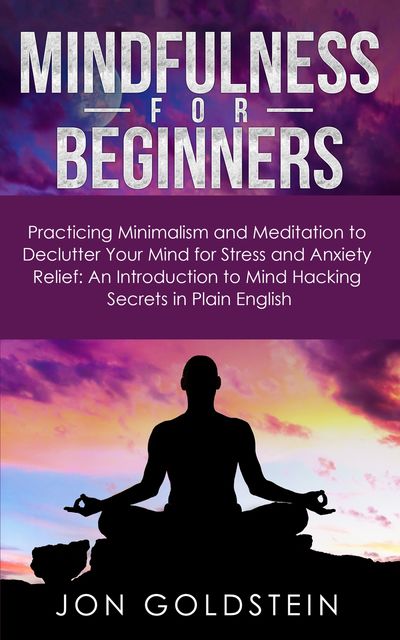 Mindfulness for Beginners, Jon Goldstein
