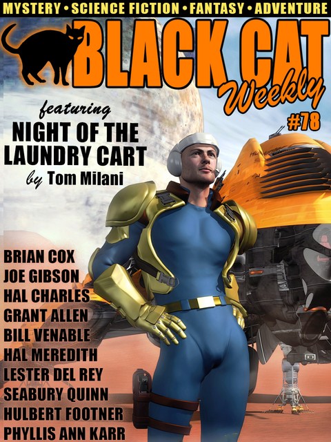 Black Cat Weekly #78, Wildside Press