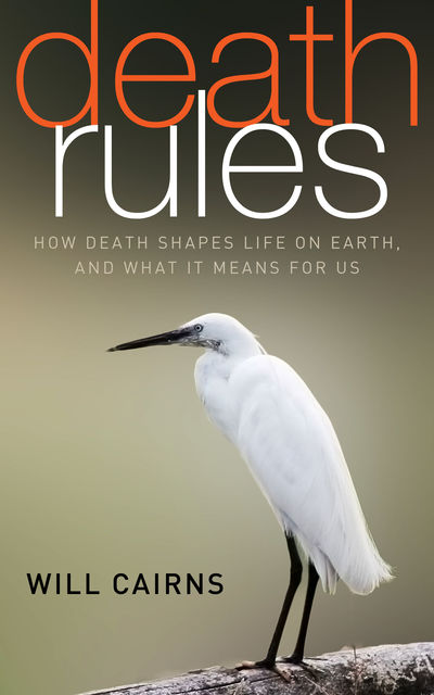 Death Rules, Will Cairns