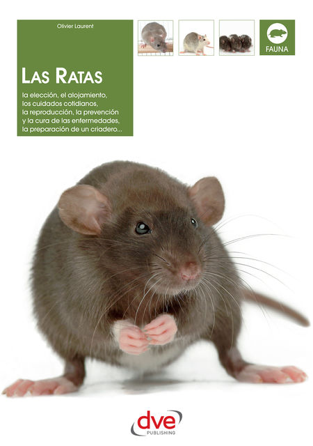 Las ratas: La elección, el alojamiento, los cuidados cotidianos, la reproducción, la prevención y la cura de las enfermedades, la preparación de un criadero, Olivier Laurent