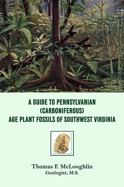 A Guide to Pennsylvanian (Carboniferous) Age Plant Fossils of Southwest Virginia, Thomas F. McLoughlin