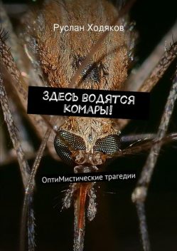 Здесь водятся комары, Руслан Ходяков