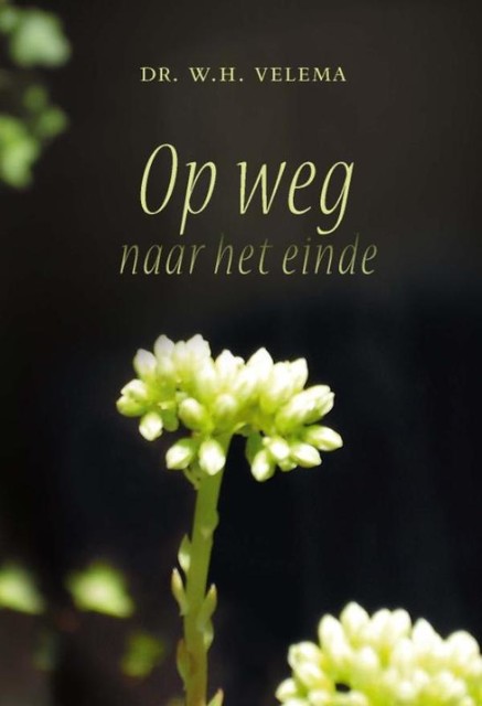 Op weg naar het einde, W. H Velema
