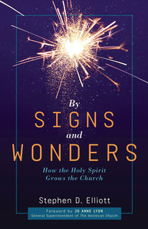 By Signs and Wonders, Stephen Elliott