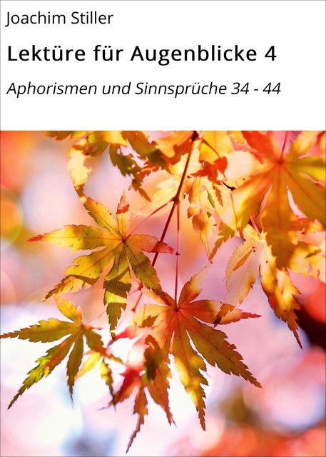 Lektüre für Augenblicke 4, Joachim Stiller