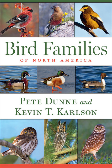 Bird Families of North America, Pete Dunne, Kevin T. Karlson