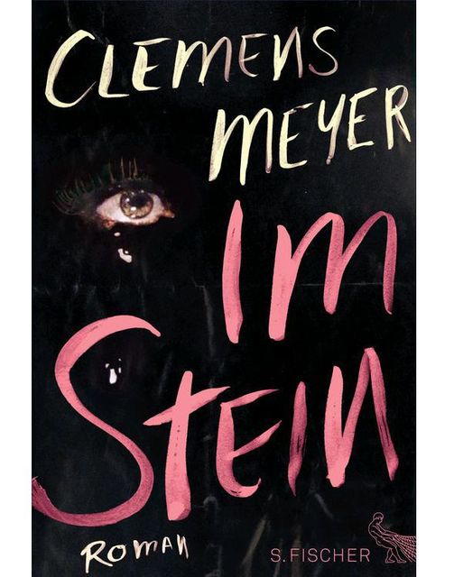 Im Stein, Clemens Meyer