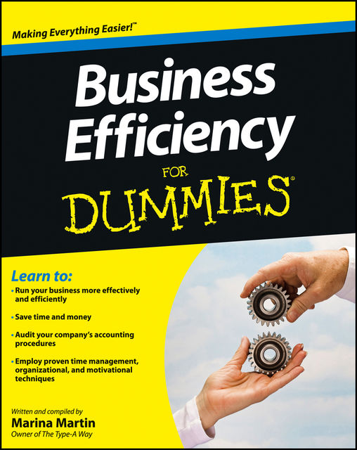 Business Efficiency For Dummies, Marina Martin