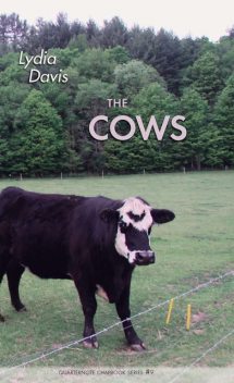 The Cows, Lydia Davis