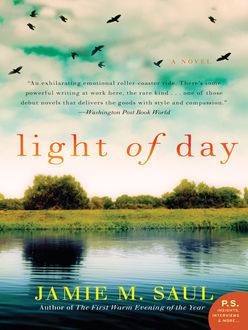 Light of Day, Jamie M. Saul