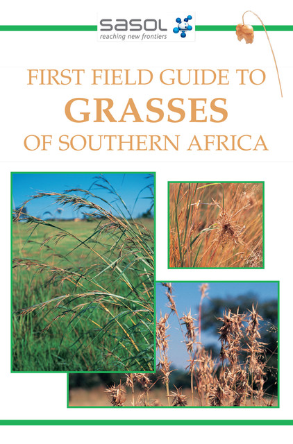 First Field Guide to Grasses of Southern Africa, Gideon Smith