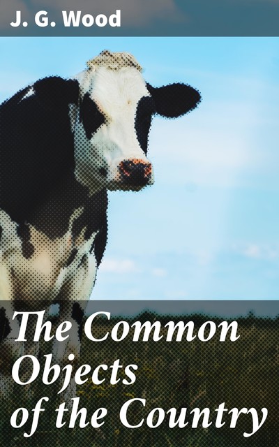 The Common Objects of the Country, J.G. Wood