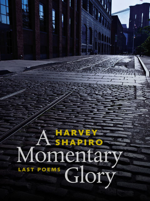 A Momentary Glory, Harvey Shapiro