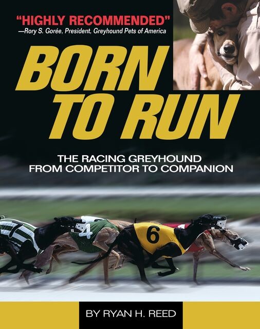 The Born to Run, Ryan Reed