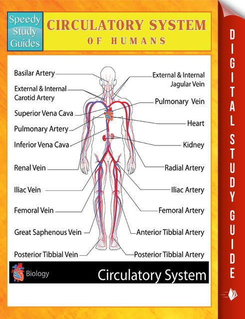 Circulatory System Of Humans Speedy Study Guides, Speedy Publishing