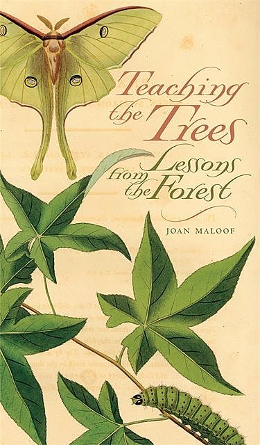 Teaching the Trees, Joan Maloof