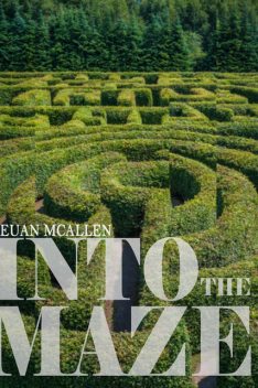 Into The Maze, Euan McAllen