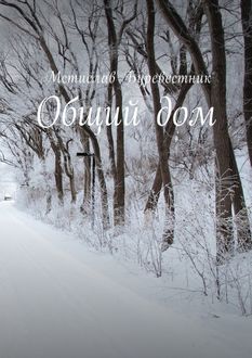Общий дом, Мстислав Буревестник