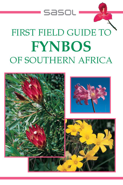 First Field Guide to Fynbos of Southern Africa, John Manning