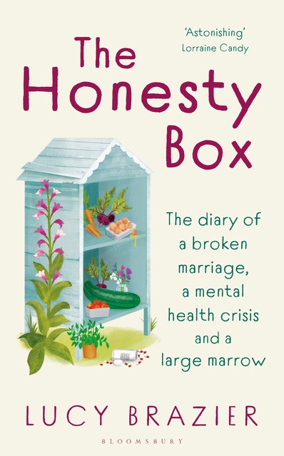 The Honesty Box, Lucy Brazier