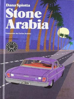 Stone Arabia, Dana Spiotta