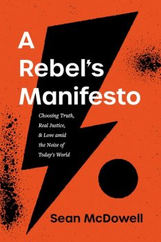 A Rebel's Manifesto, Sean McDowell
