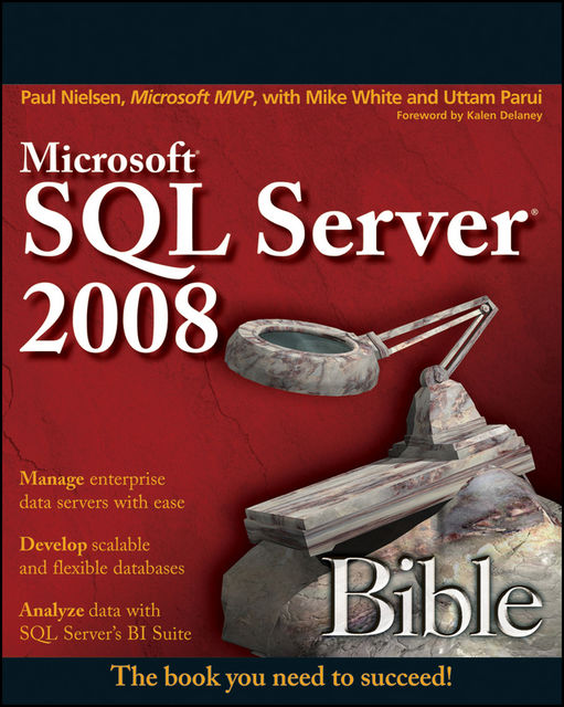 Microsoft SQL Server 2008 Bible, Paul Nielsen, Uttam Parui