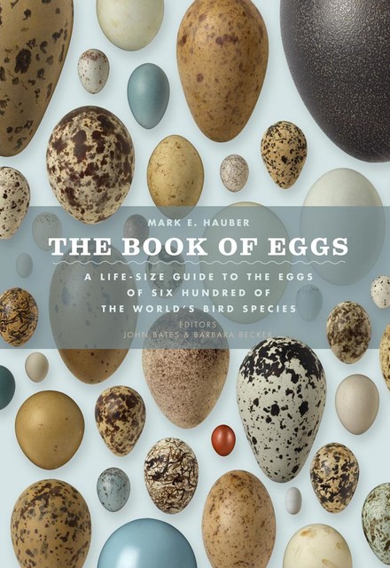 The Book of Eggs, Mark E.Hauber