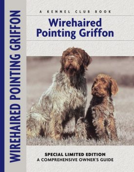 Wirehaired Pointing Griffon, Nikki Moustaki