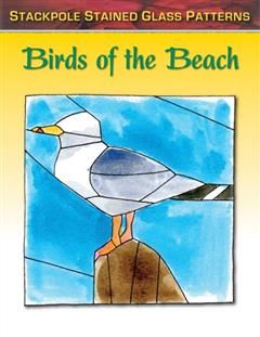 Birds of the Beach, Sandy Allison