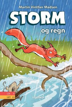 Storm #2: Storm og regn, Martin Vinther Madsen