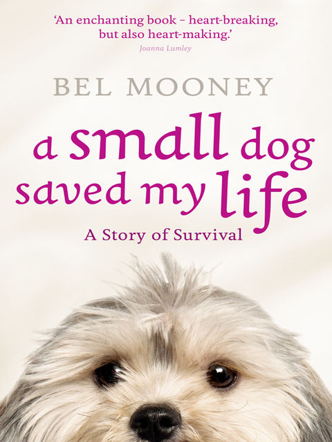 A Small Dog Saved My Life, Bel Mooney