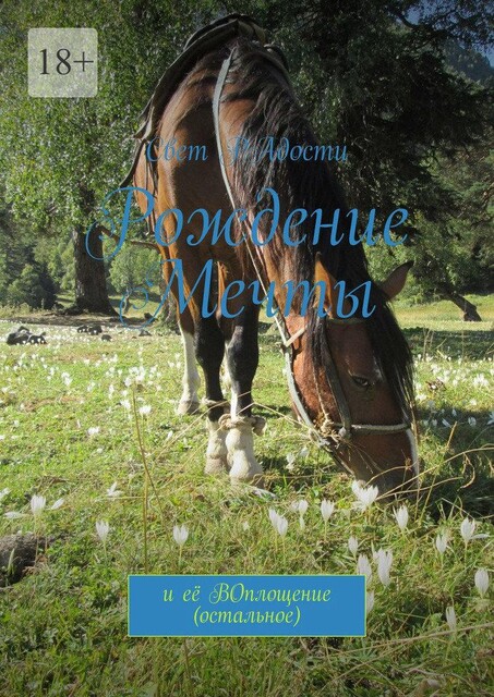 Рождение мечты. И ее воплощение (остальное), Свет РАдости