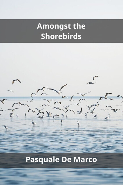 Amongst the Shorebirds, Pasquale De Marco